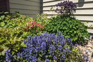 6207 Hillsboro Dr N W, Rochester, MN 55901 - Photo 27