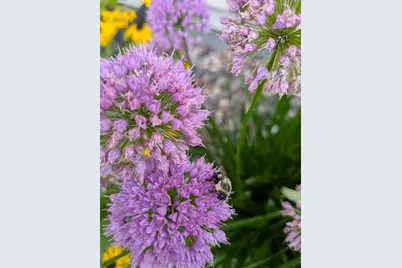 6207 Hillsboro Drive NW, Rochester, MN 55901 - Photo 29