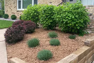 6529 41st Ave N, Crystal, MN 55427 - Photo 53