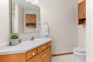 205 Circle View Dr, Dassel, MN 55325 - Photo 21