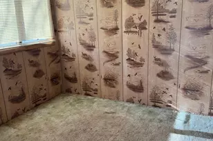 491 3rd Ave SE, Wells, MN 56097 - Photo 13