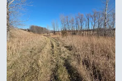 36999 141st Lane, Montgomery, MN 56069 - Photo 3