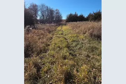 36999 141st Lane, Montgomery, MN 56069 - Photo 9