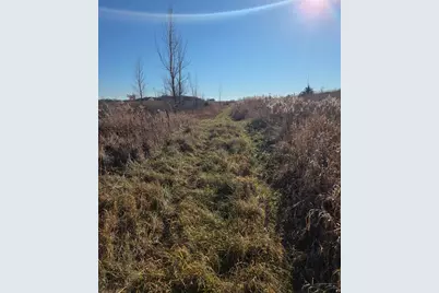 36999 141st Lane, Montgomery, MN 56069 - Photo 25