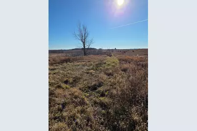 36999 141st Lane, Montgomery, MN 56069 - Photo 13