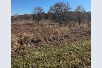 36999 141st Lane, Montgomery, MN 56069 - Photo 5