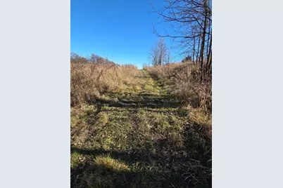 36999 141st Lane, Montgomery, MN 56069 - Photo 11