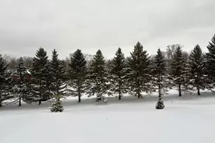 22477 Olivia Ct, Rogers, MN 55374 - Photo 3