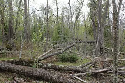 Tbd County Rd 19, Deer River, MN 56636 - Photo 17