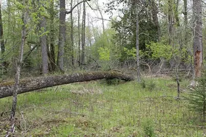 Tbd County Rd 19, Deer River, MN 56636 - Photo 21