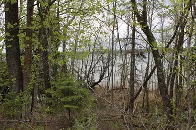 Tbd County Rd 19, Deer River, MN 56636 - Photo 13