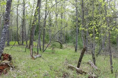 Tbd County Rd 19, Deer River, MN 56636 - Photo 9