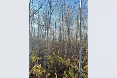 36615 County Road 13, Warroad, MN 56756 - Photo 7