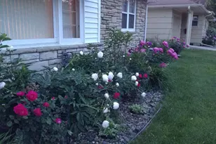 5616 Beard Ave S, Edina, MN 55410 - Photo 39