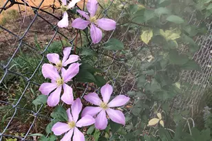 5616 Beard Ave S, Edina, MN 55410 - Photo 43