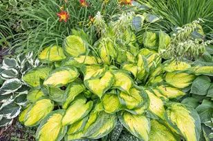 1120 Broadway N, Fargo, ND 58102 - Photo 43