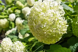 1120 Broadway N, Fargo, ND 58102 - Photo 39