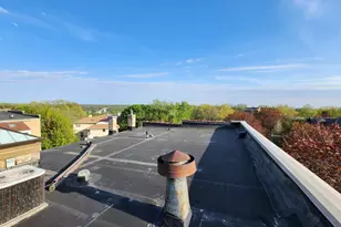 438 Portland Ave, Saint Paul, MN 55102 - Photo 35