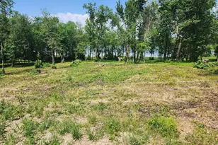 Lot 2 125th St, Dalton, MN 56324 - Photo 1