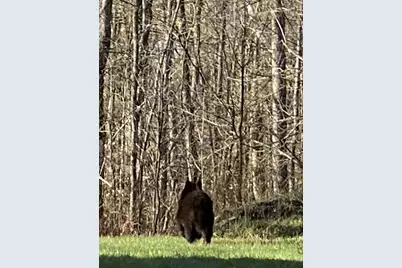 26744 Ross Lake Road, Aitkin, MN 56431 - Photo 15