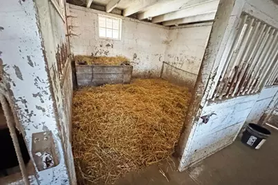 12549 County 21, Canton, MN 55922 - Photo 55