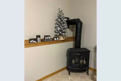 313 3rd Street N, Kerkhoven, MN 56252 - Photo 37