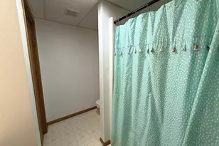 313 3rd Street N, Kerkhoven, MN 56252 - Photo 39