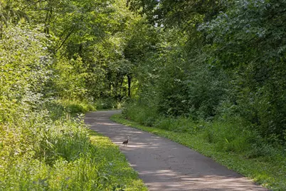 4640 McDonald Drive N, Stillwater, MN 55082 - Photo 73