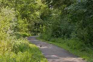 4640 McDonald Dr N, Stillwater, MN 55082 - Photo 73