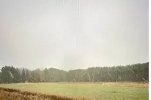 Tbd 124th St, Staples, MN 56479 - Photo 1