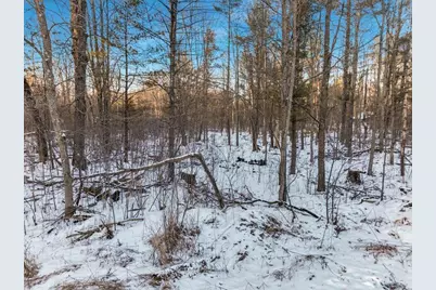 2.6 Acres N Hayden Street, Merrillan, WI 54754 - Photo 11