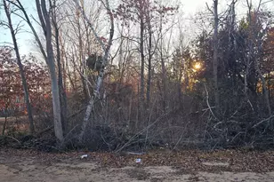 27532 Dahlia St NW, Isanti, MN 55040 - Photo 45