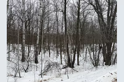 Tbd White Fish Road, Garrison, MN 56450 - Photo 7