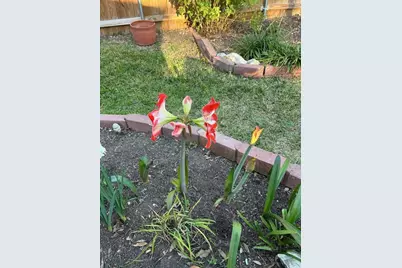 165 Birnamwood Drive, Burnsville, MN 55337 - Photo 33