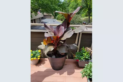 165 Birnamwood Drive, Burnsville, MN 55337 - Photo 41