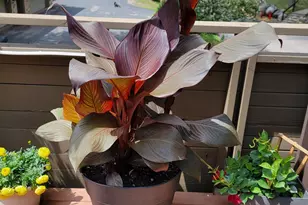 165 Birnamwood Dr, Burnsville, MN 55337 - Photo 41