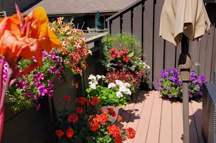 165 Birnamwood Dr, Burnsville, MN 55337 - Photo 37