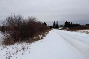 41126 State Hwy 65, Nashwauk, MN 55769 - Photo 17