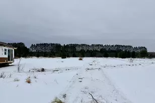 41126 State Hwy 65, Nashwauk, MN 55769 - Photo 19