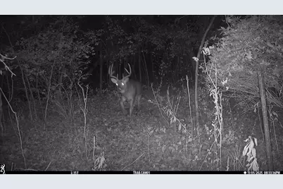 Tbd County Road 17, Winona, MN 55987 - Photo 19