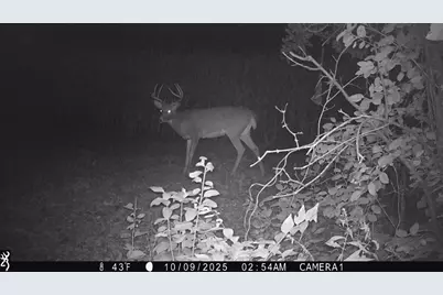 Tbd County Road 17, Winona, MN 55987 - Photo 5