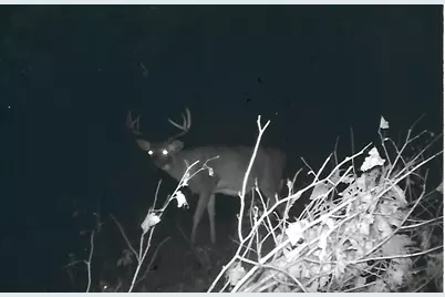 1559 Stone Lake Road SW, Bemidji, MN 56601 - Photo 107