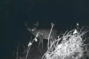 1559 Stone Lake Rd SW, Bemidji, MN 56601 - Photo 107