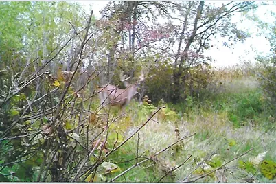 1559 Stone Lake Road SW, Bemidji, MN 56601 - Photo 105