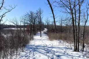 1559 Stone Lake Rd SW, Bemidji, MN 56601 - Photo 69