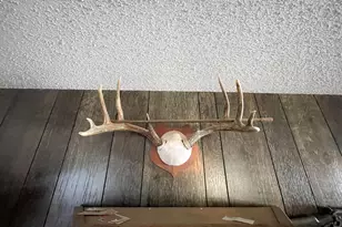 1559 Stone Lake Rd SW, Bemidji, MN 56601 - Photo 31