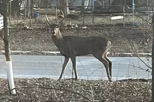 22938 Poppy St NW, Saint Francis, MN 55070 - Photo 31