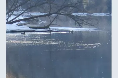 1932 64th Street, Somerset, WI 54025 - Photo 5