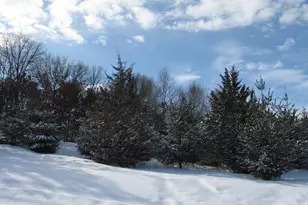 1932 64th St, Somerset, WI 54025 - Photo 1