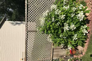 2335 2nd Ave SW, Rochester, MN 55902 - Photo 43